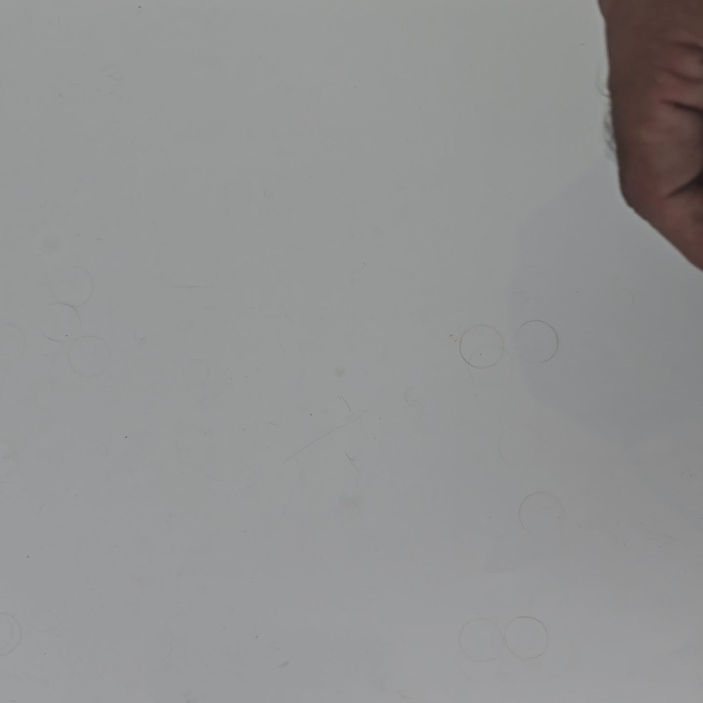 OW 479