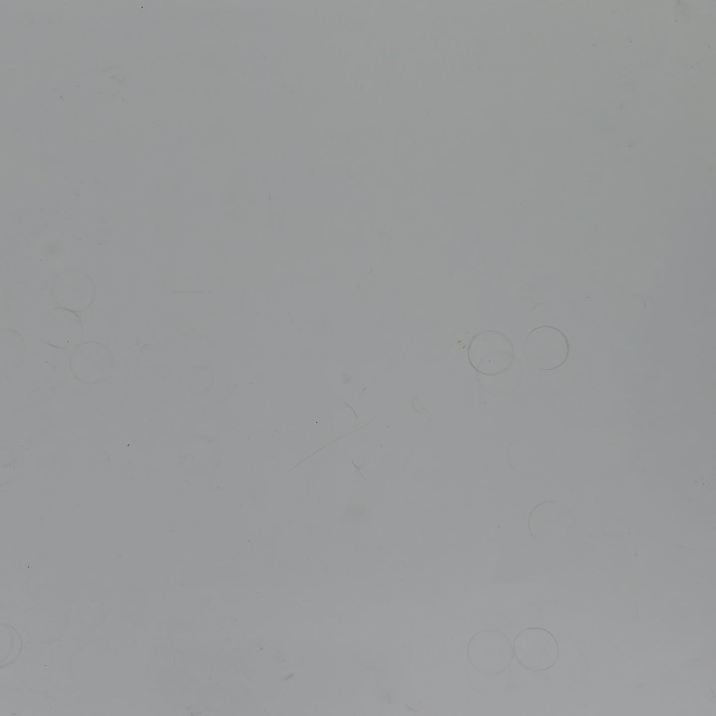OW 493