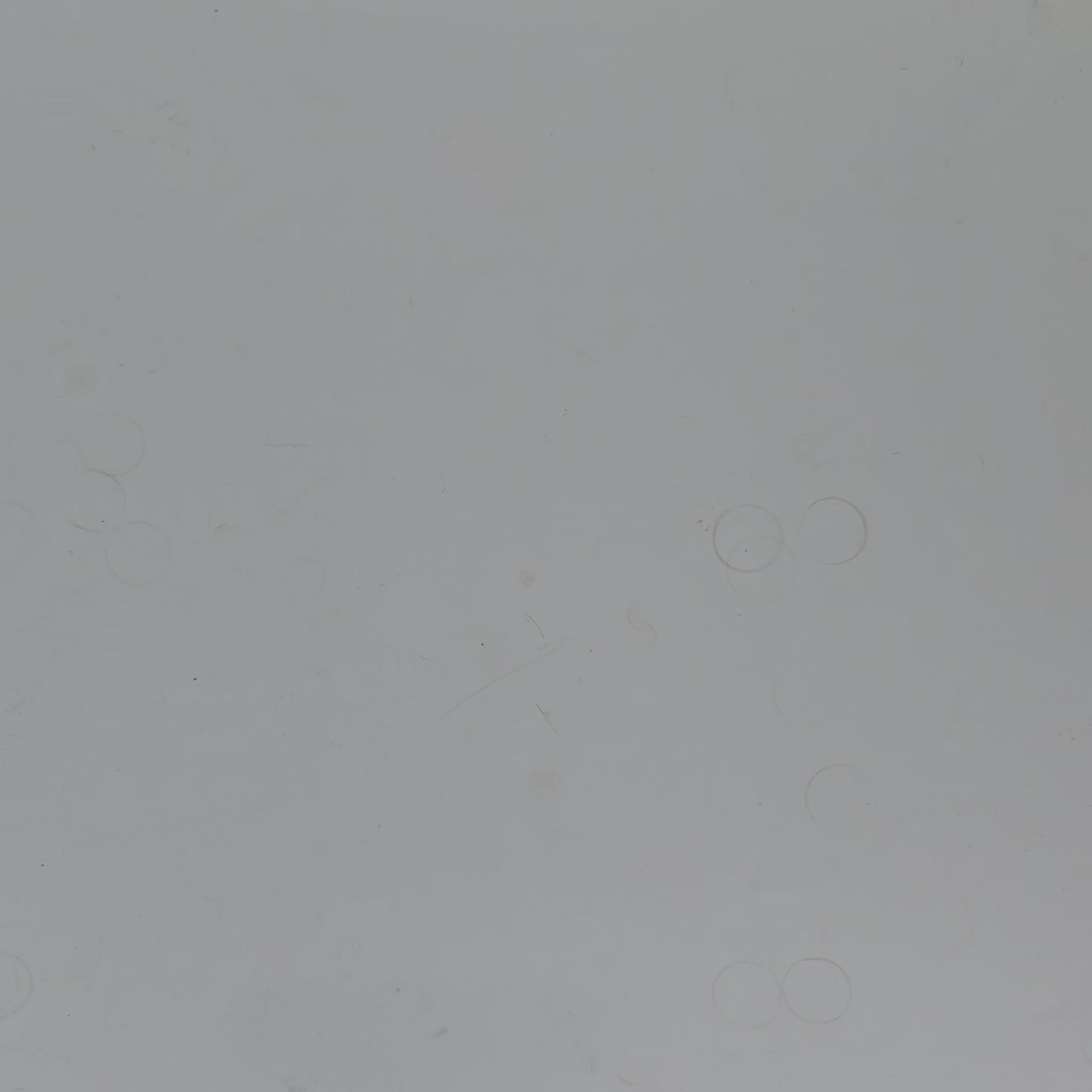 OW 494