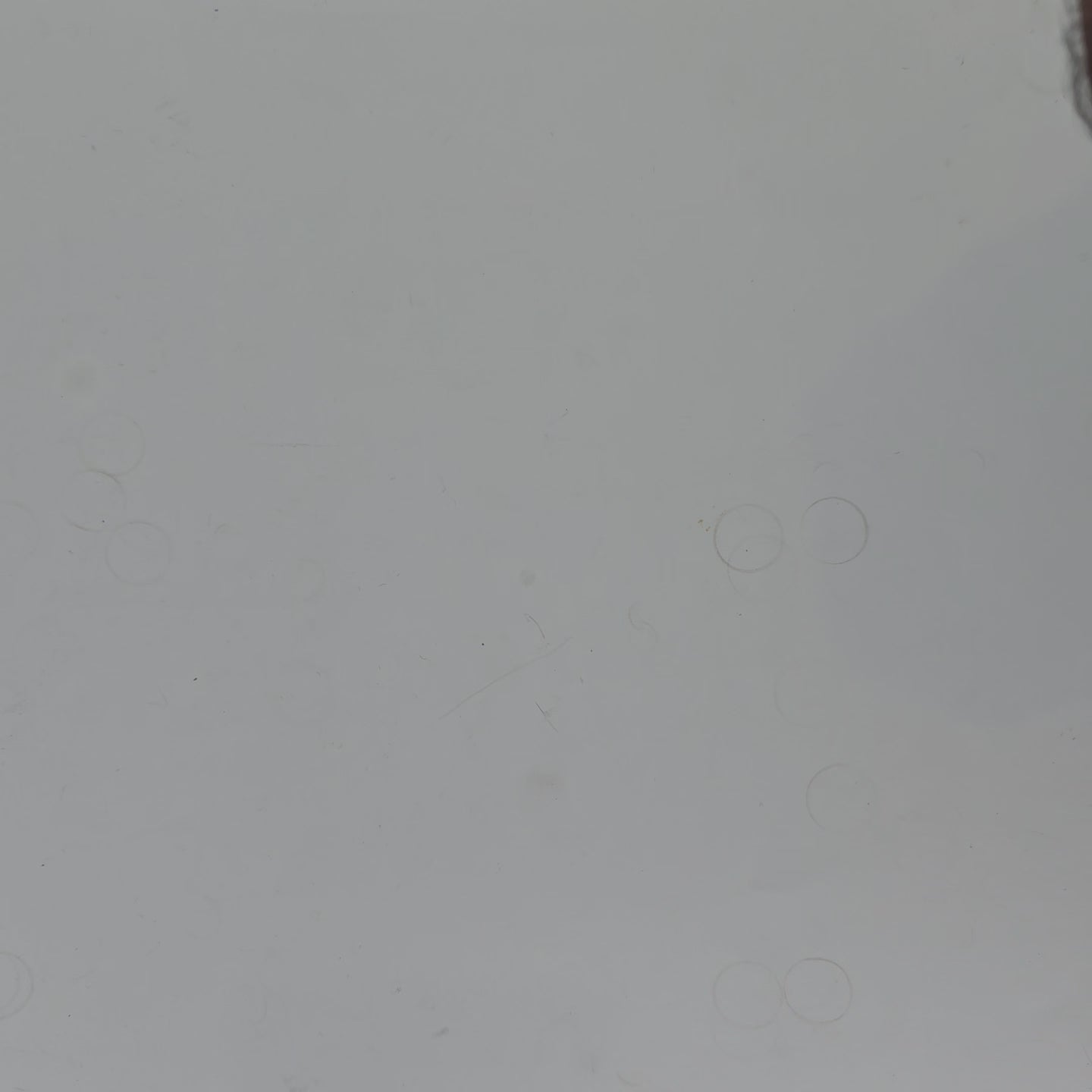 OW 484