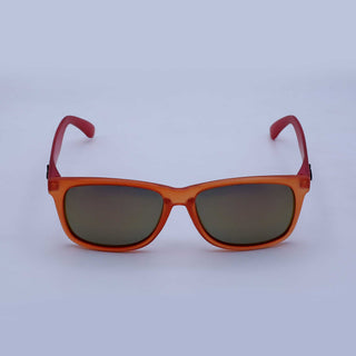 Sunglasses 76